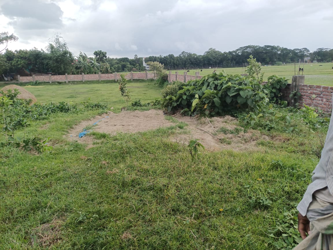 Image of রাইফা